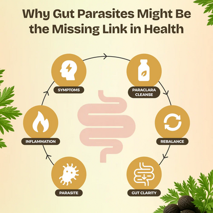 Wormwood Black Walnut Parasite Detox